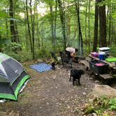 Review photo of Primitive Camping Area — Bald Eagle State Park by Sean Y., June 18, 2019
