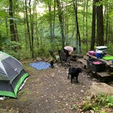 Review photo of Bald Eagle State Park Campground by Sean Y., June 18, 2019