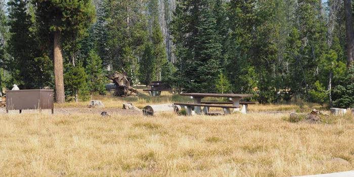 Camper submitted image from Lost Creek Campground — Crater Lake National Park