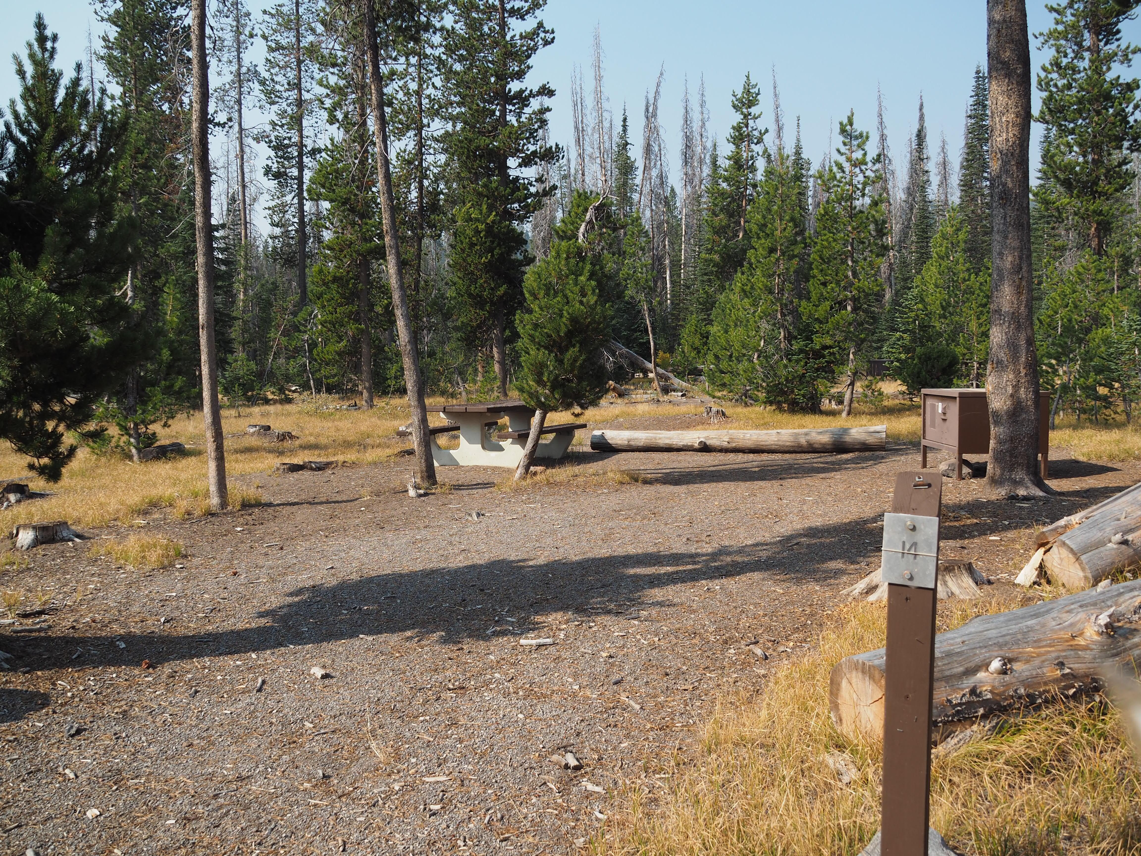 Camper submitted image from Lost Creek Campground — Crater Lake National Park - 3