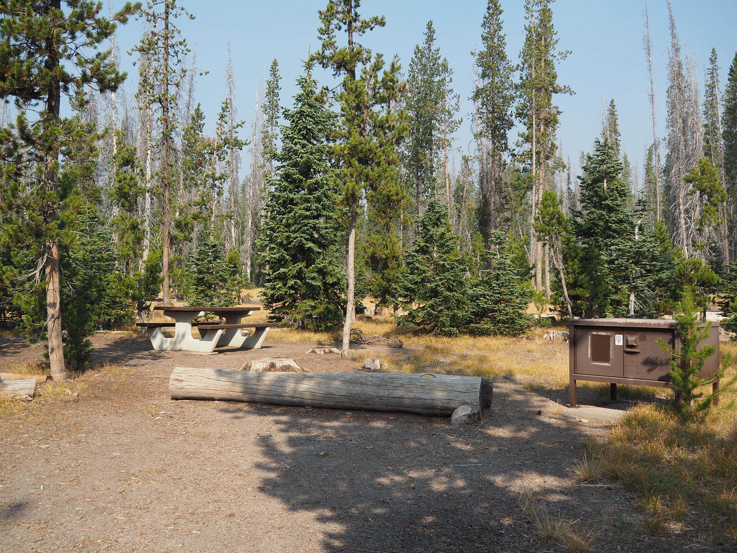 Camper-submitted photo at Lost Creek Campground — Crater Lake National Park near Klamath Falls, OR