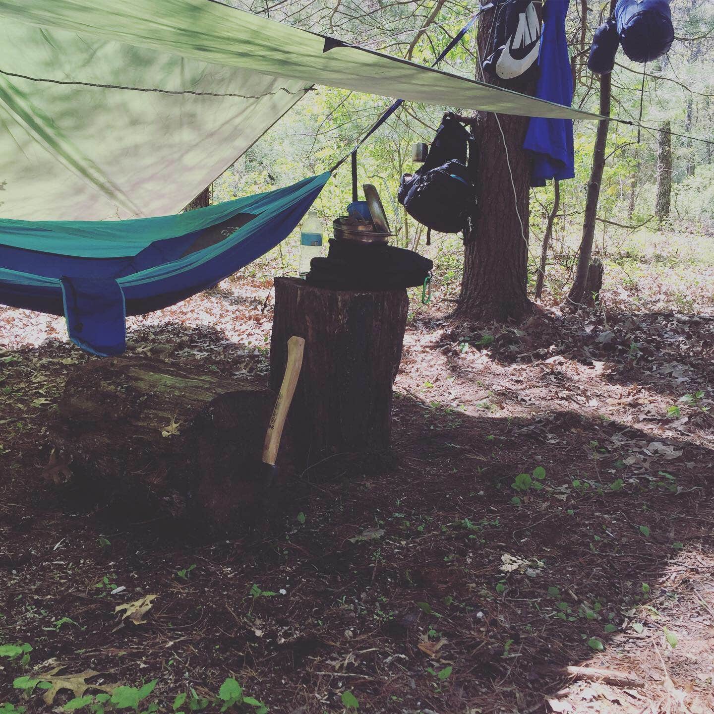 Camper submitted image from Pine Campground — Sand Ridge State Forest - 3