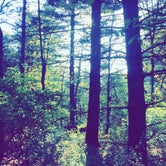 Review photo of Sand Ridge State Forest by Brody R., June 18, 2019