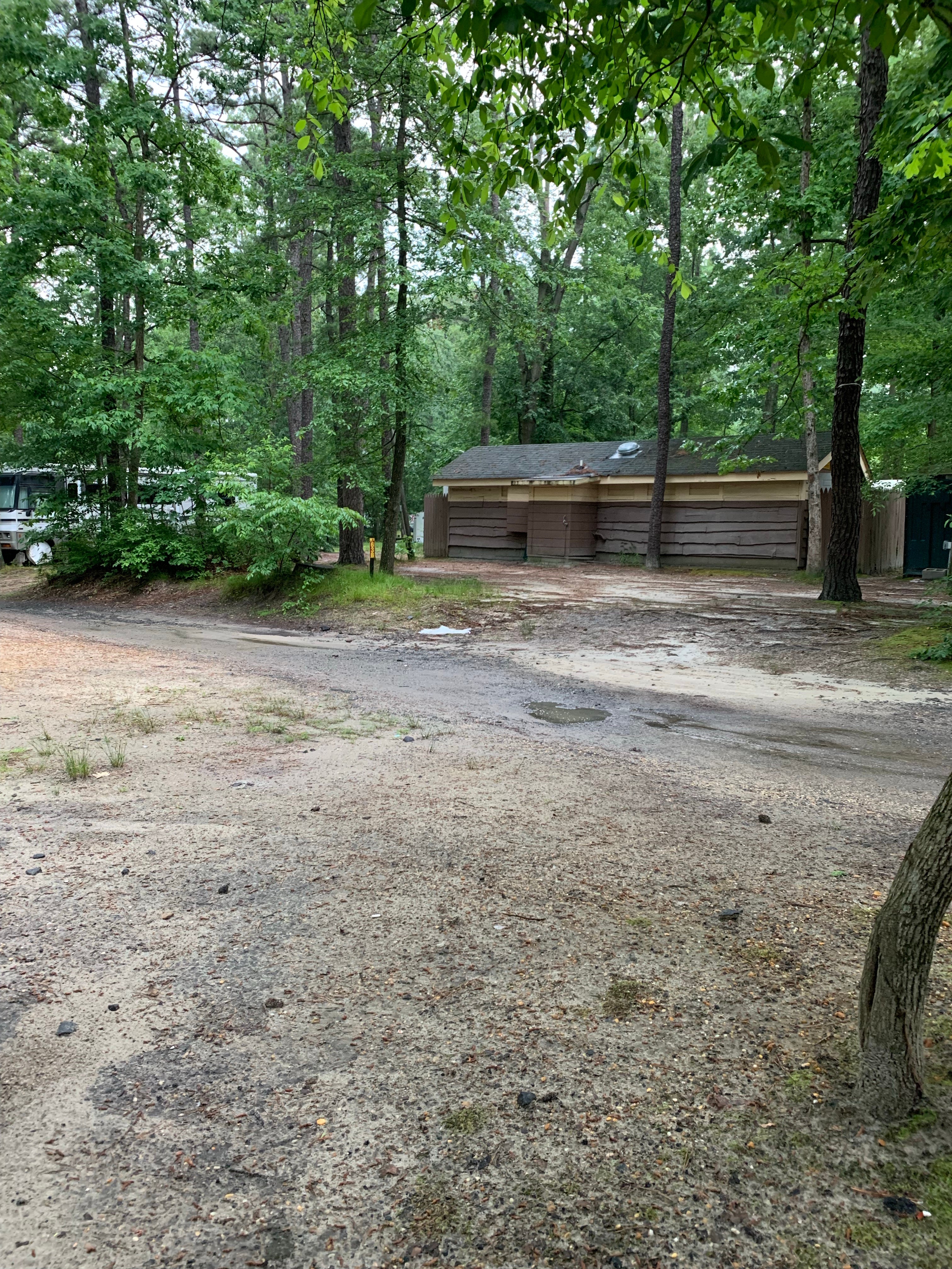 Camper submitted image from Timberland Lake Campground - 4