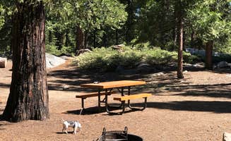 Medic R.'s photo at Pinecrest Campground near Stanislaus National Forest