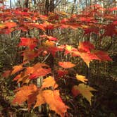 Review photo of Bear Paw Campground — Itasca State Park by Eric N., September 1, 2016