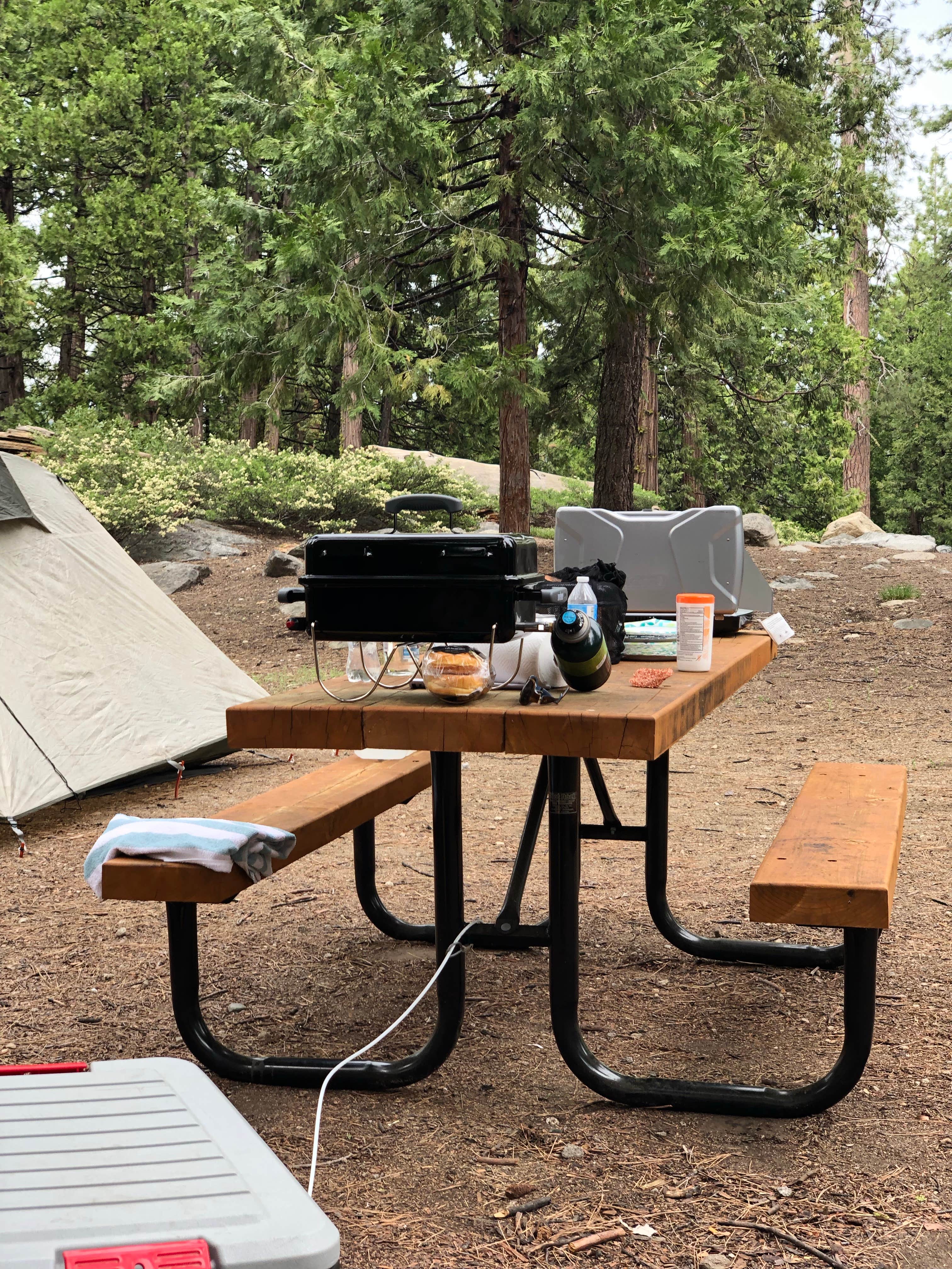 Medic R.'s photo at Pinecrest Campground near Stanislaus National Forest