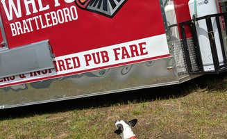 Sammii D.'s photo of camping with pets at Kampfires near Townshend Lake