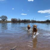 Review photo of Chatfield State Park Campground by Jenny P., June 19, 2019