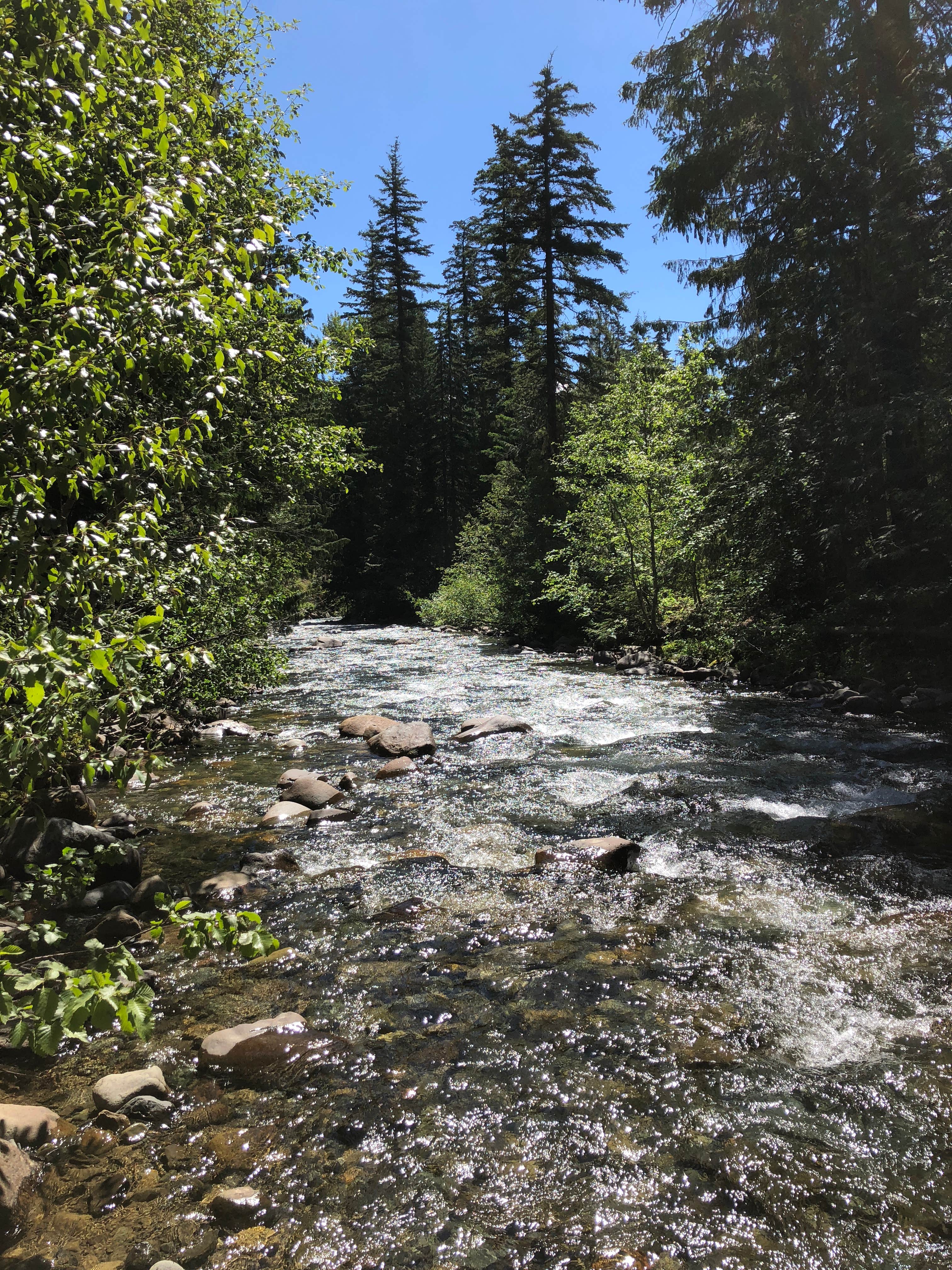 Camping near Rainy Creek Campground: Grasshopper Meadows Campground, Skykomish, Washington