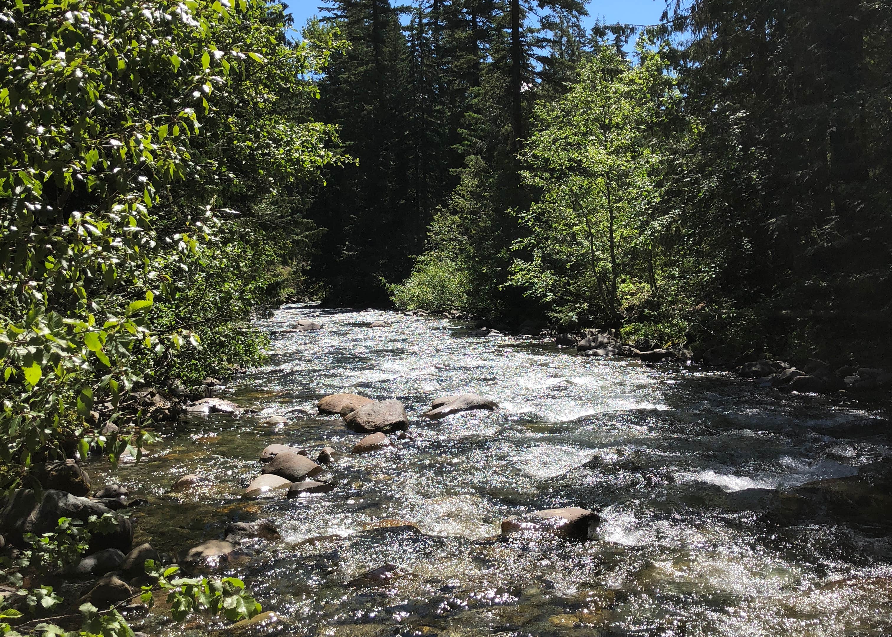 Meadows Campground Camping The Dyrt