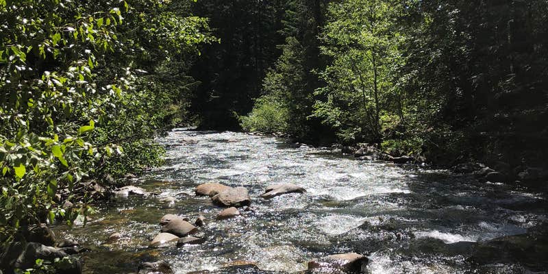 Camper submitted image from Grasshopper Meadows Campground