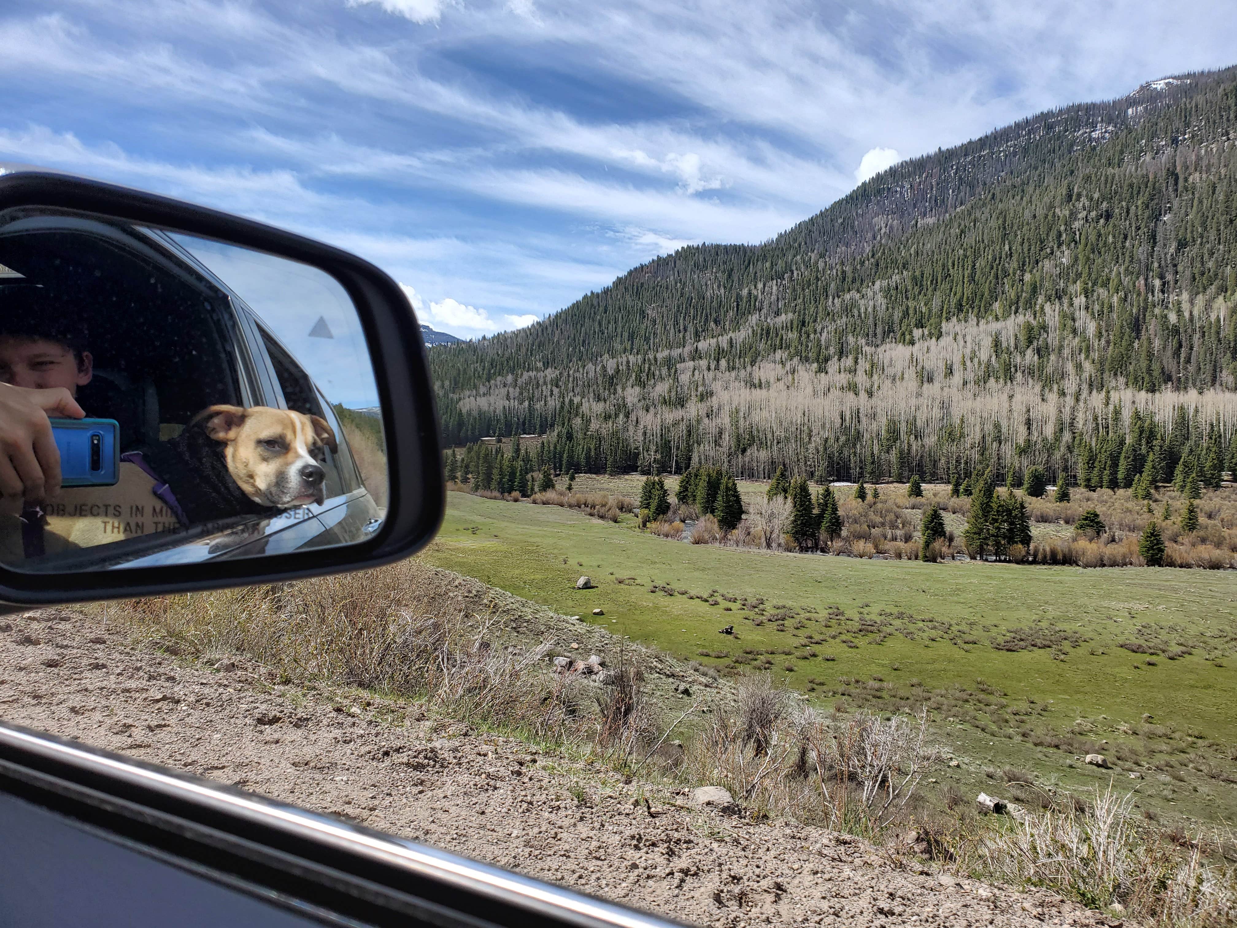 Bryan F.'s photo of camping with pets at Park Creek Campground near Pagosa Springs, CO