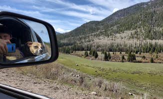 Bryan F.'s photo of camping with pets at Park Creek Campground near Pagosa Springs, CO