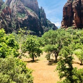 Review photo of Zion Canyon Campground by Matt I., June 19, 2019