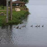 Review photo of J.W. Wells State Park Campground by Mary T., June 19, 2019