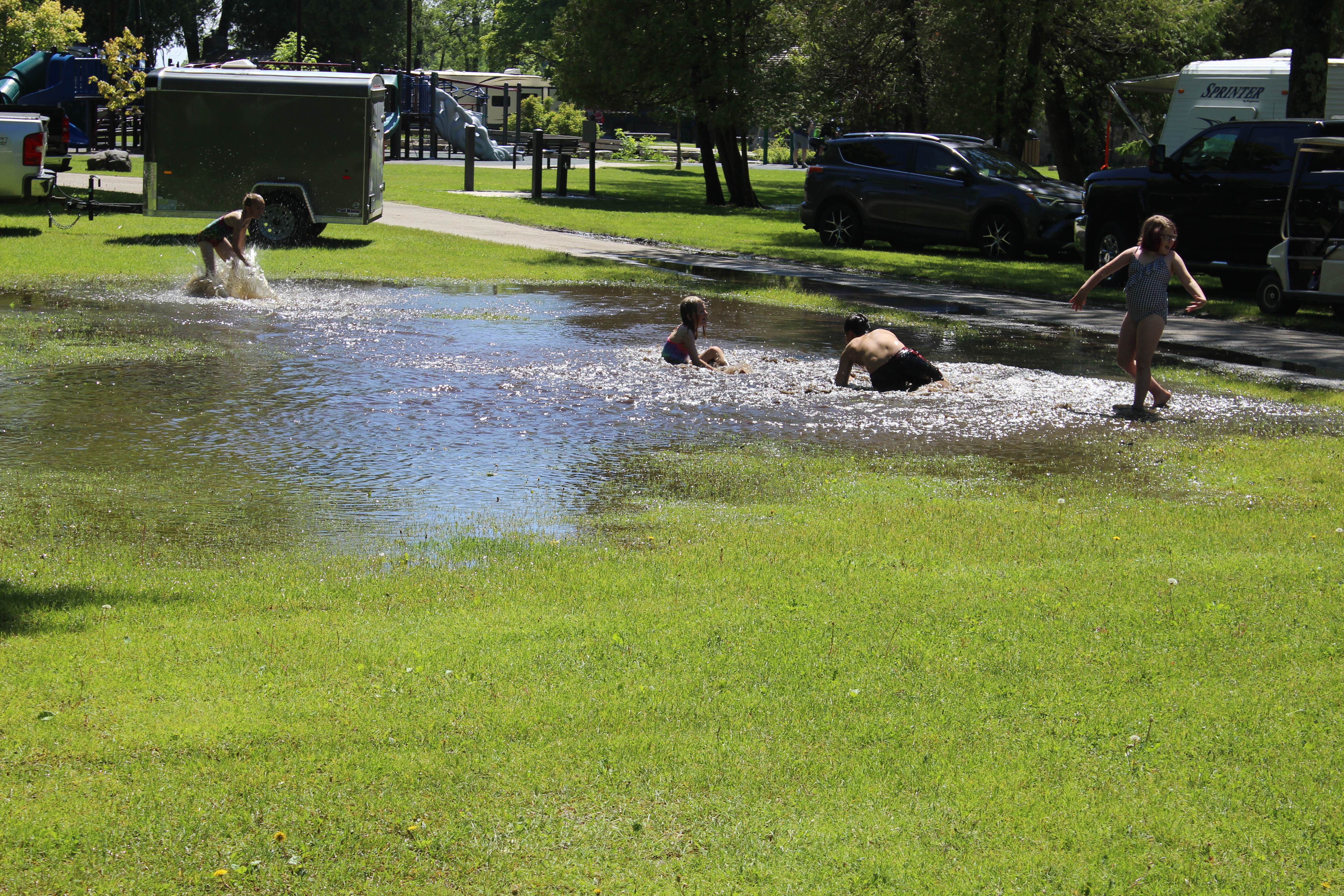 Mary T.'s photo of camping with pets at J.W. Wells State Park Campground near Escanaba, MI