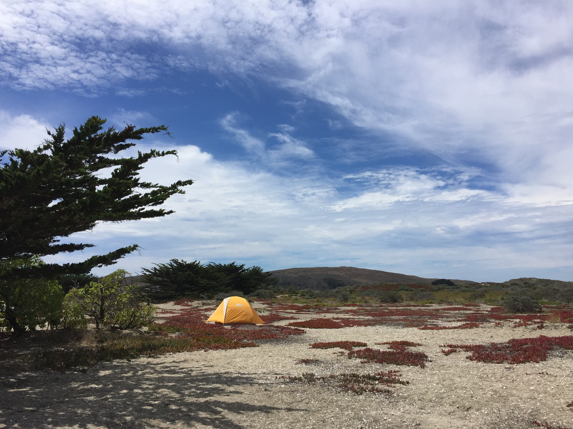 Camper submitted image from Doran Regional Park - 5