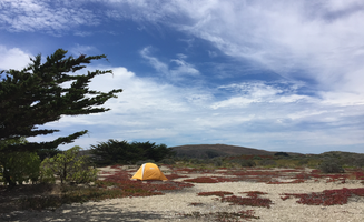 Kayko S.'s photo at Doran Regional Park near Sebastopol, CA