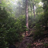 Review photo of Pine Mountain State Resort Park by Kyle S., June 19, 2019