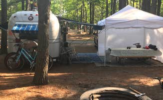 Cassondra P.'s photo at Traverse City State Park Campground near Williamsburg, MI