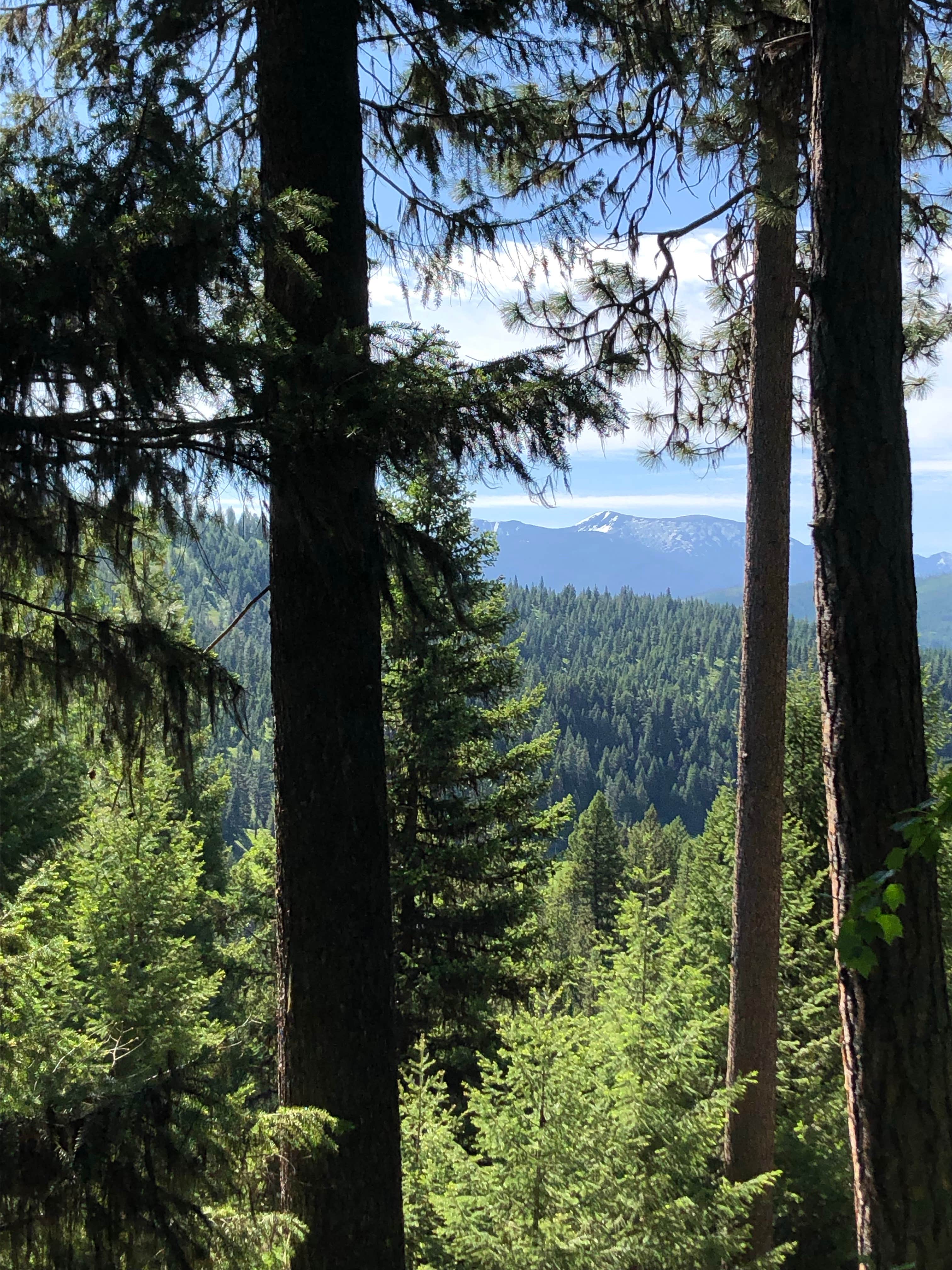 Camping near Lolo Creek Campground: The Jack Saloon, Lolo, Montana