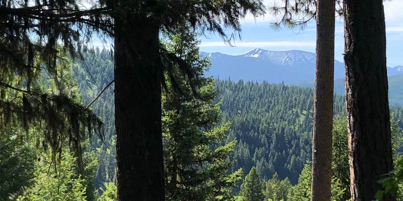 Camper submitted image from The Jack Saloon