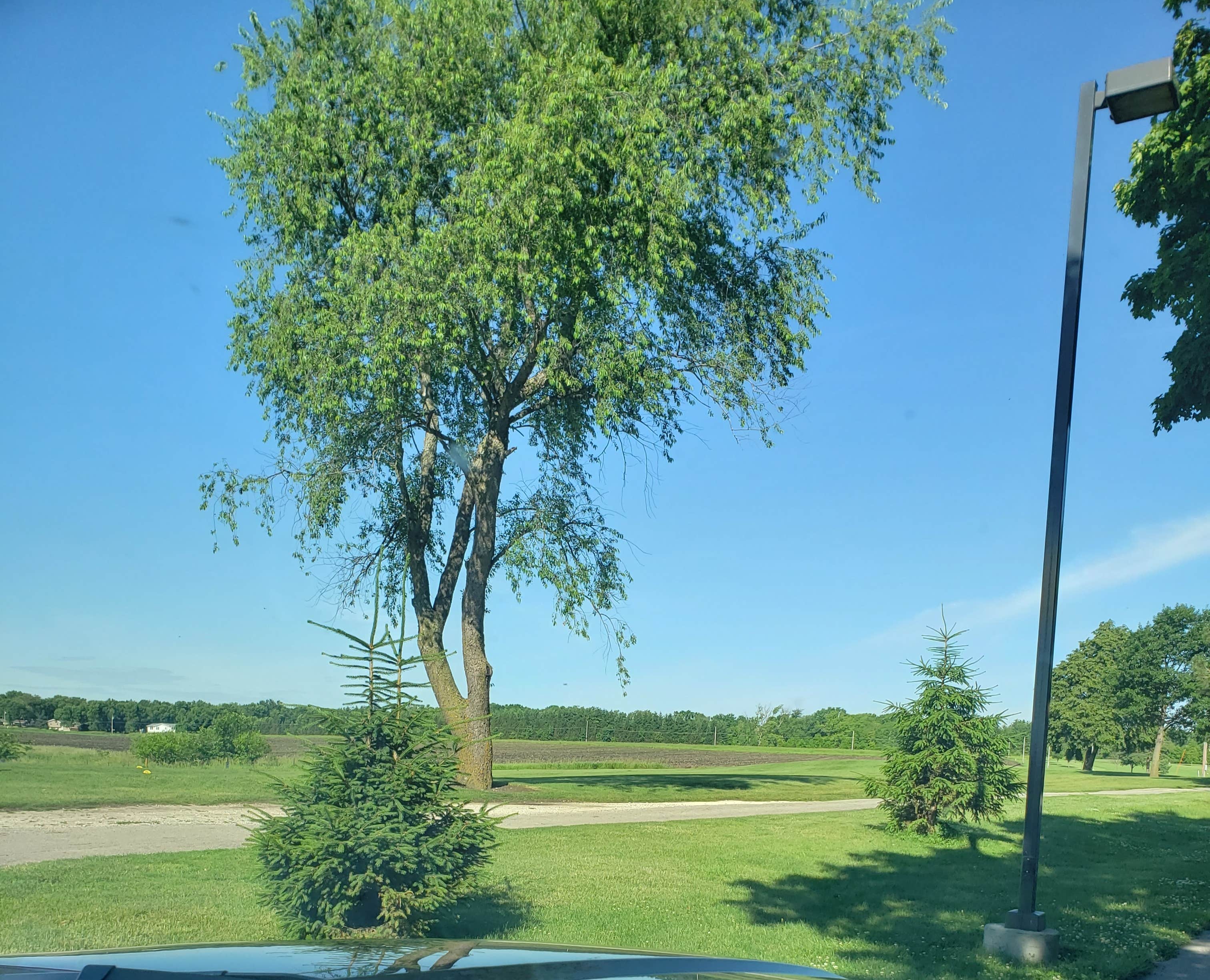 Camper-submitted photo at Kennedy County Park near Fort Dodge, IA