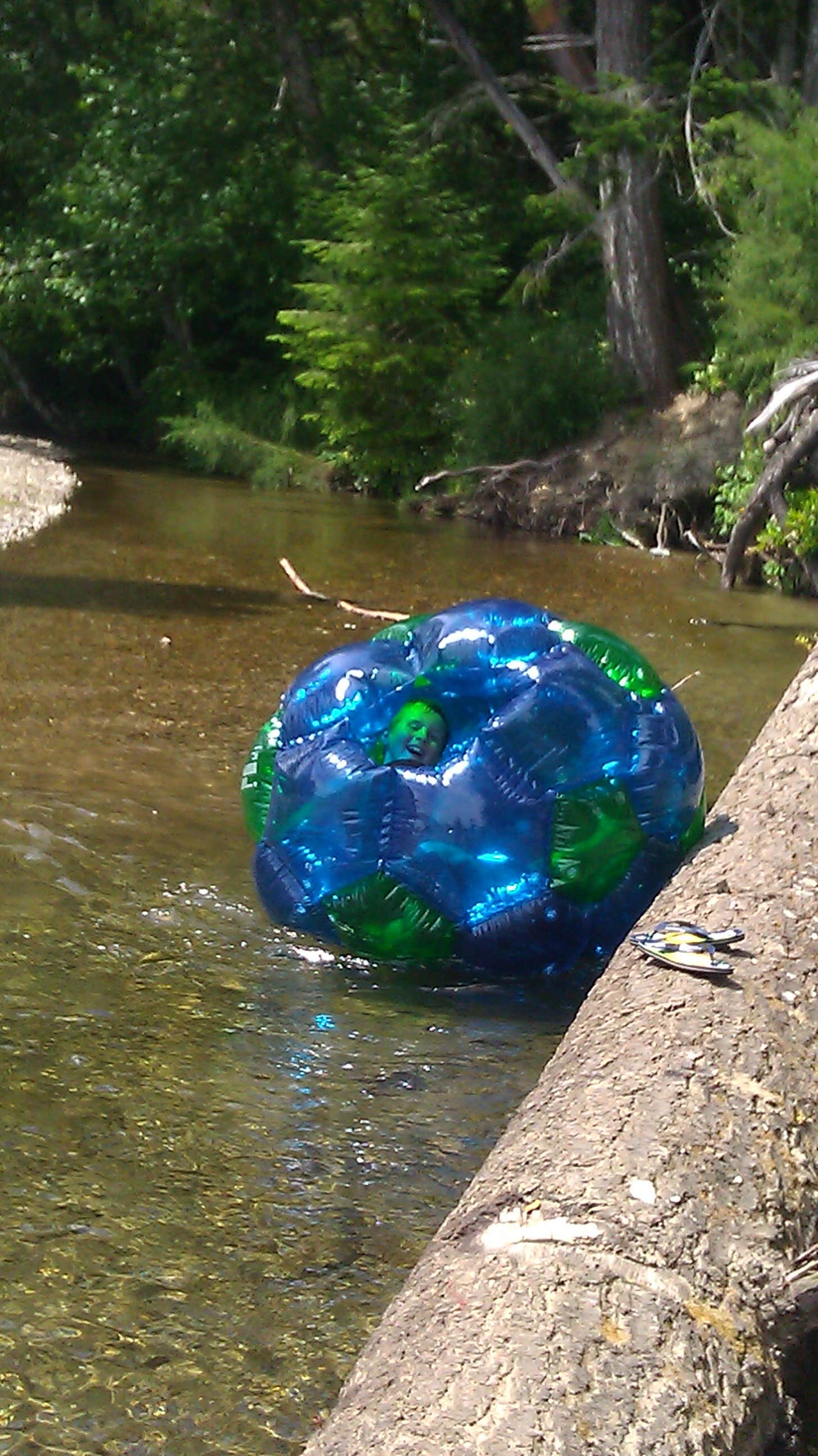Camper-submitted photo at Belfair State Park Campground near Mercer Island, WA