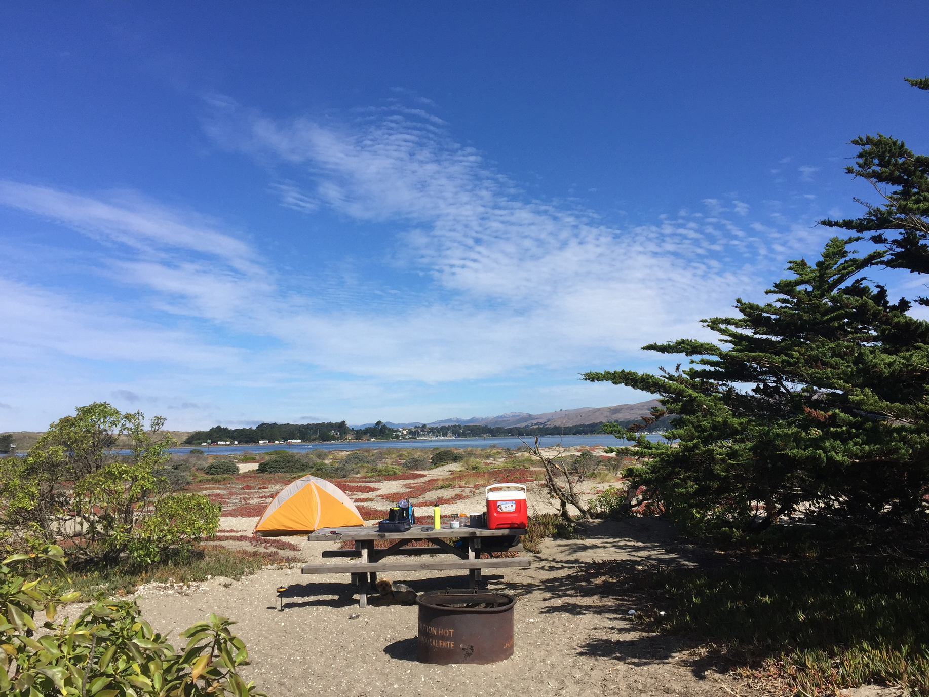 Kayko S.'s photo at Doran Regional Park near Sebastopol, CA