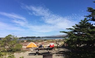 Kayko S.'s photo at Doran Regional Park near Sebastopol, CA