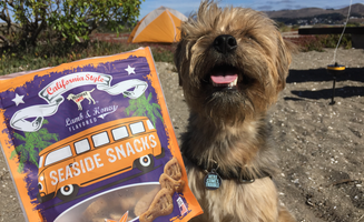 Kayko S.'s photo of camping with pets at Doran Regional Park near Santa Rosa, CA