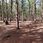 Review photo of South Meadows Campground by Shannon O., June 19, 2019