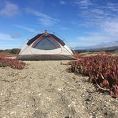 Review photo of Doran Regional Park by Kayko S., September 1, 2016