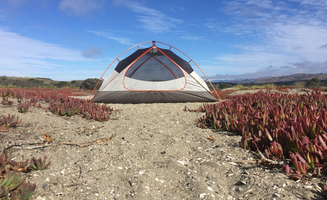Kayko S.'s photo at Doran Regional Park near Marshall, CA