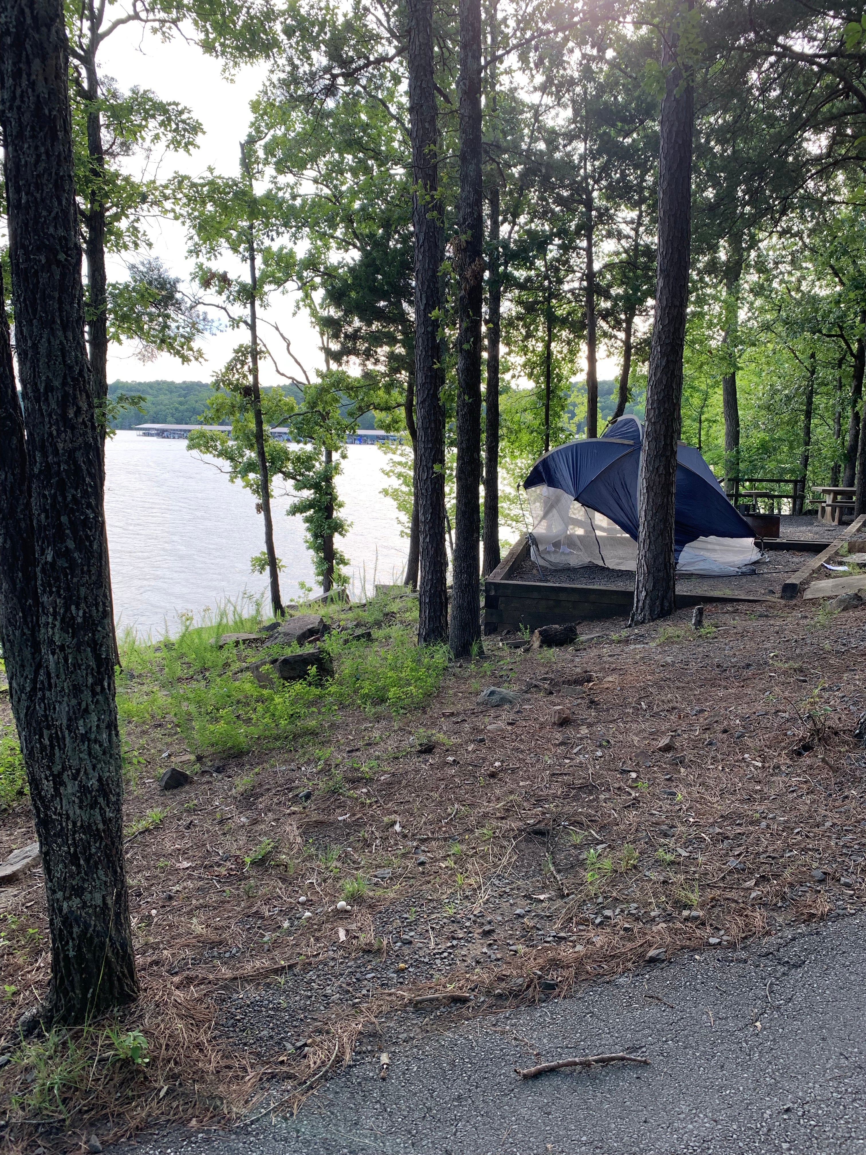 Camper submitted image from Fairfield Bay RV Campground & Marina - 1