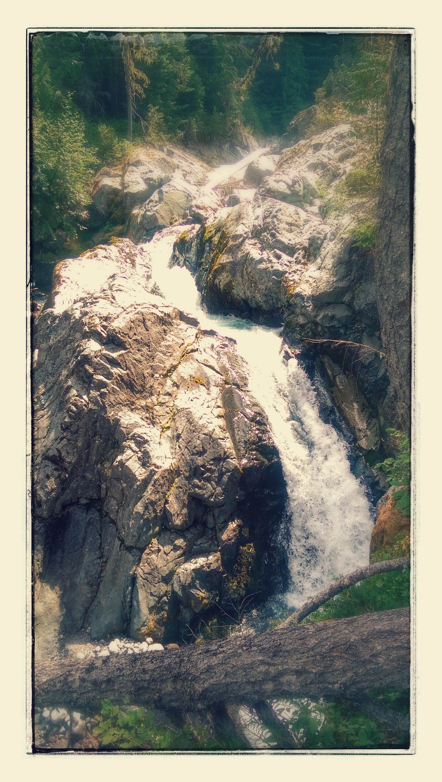 Camper-submitted photo at Summerland Backcountry Campsites — Mount Rainier National Park near Goose Prairie, WA