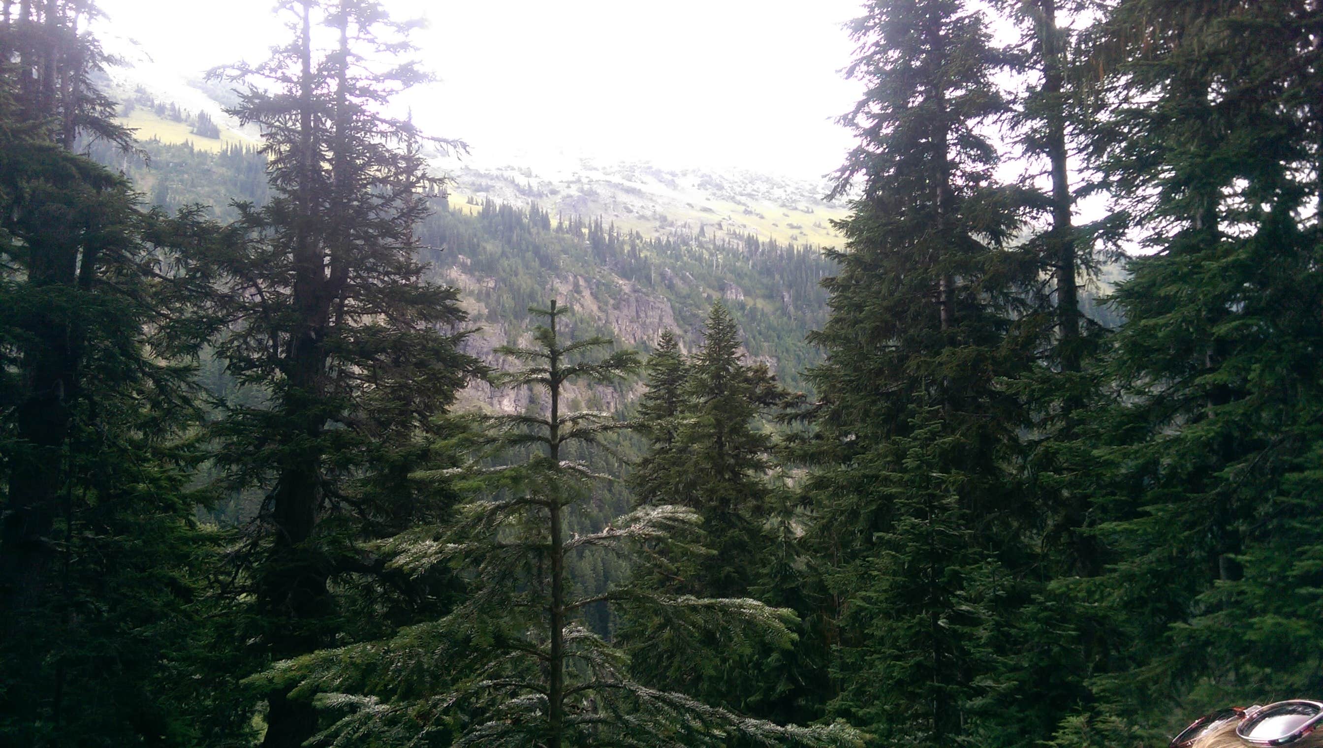 Camper-submitted photo at Summerland Backcountry Campsites — Mount Rainier National Park near Goose Prairie, WA
