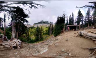 Camping near White River Campground — Mount Rainier National Park: Summerland Backcountry Campsites — Mount Rainier National Park, null, Washington