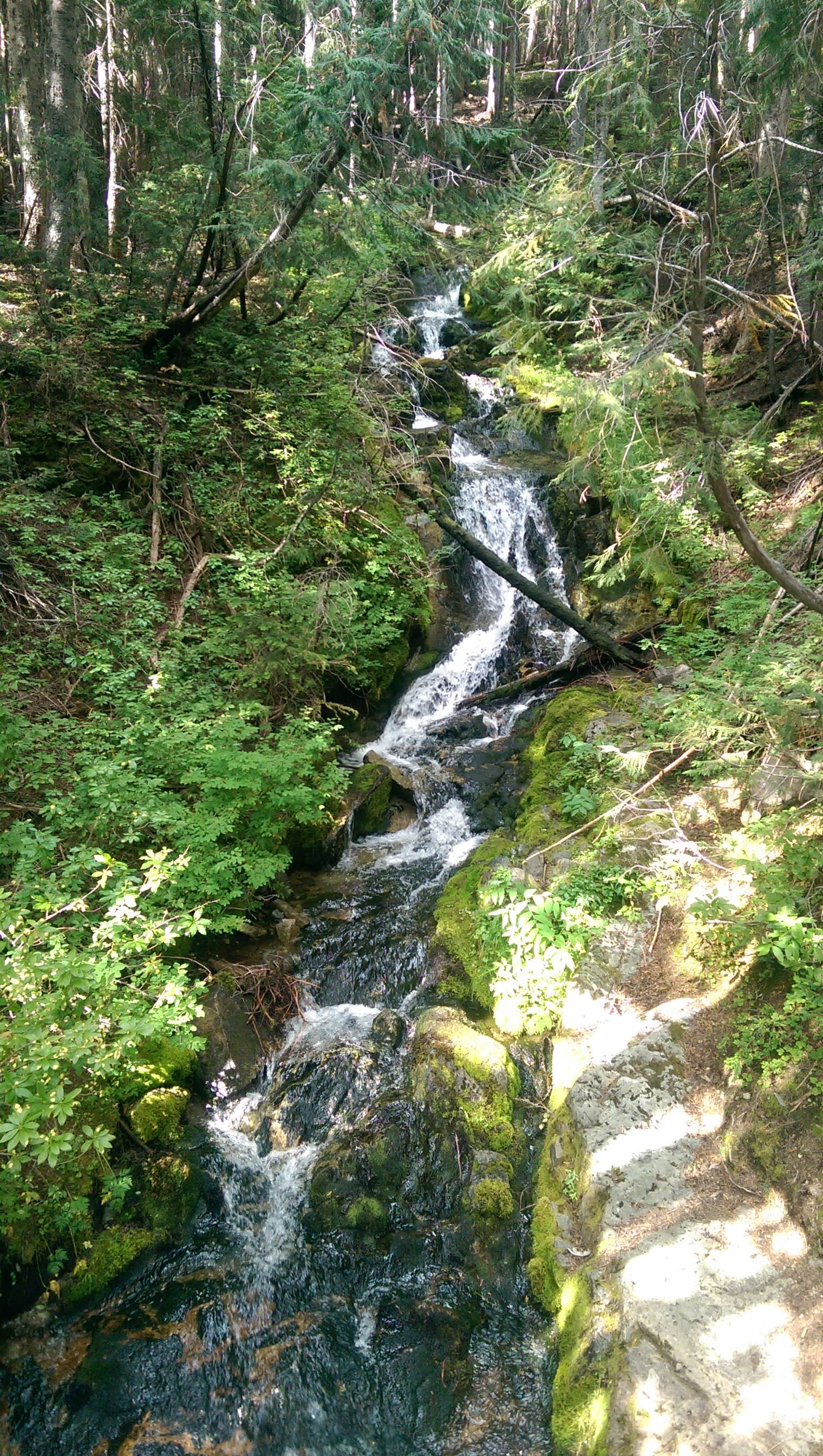 Camper-submitted photo at Summerland Backcountry Campsites — Mount Rainier National Park near Goose Prairie, WA
