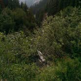 Review photo of Summerland Backcountry Campsites by Tyler S., June 19, 2019