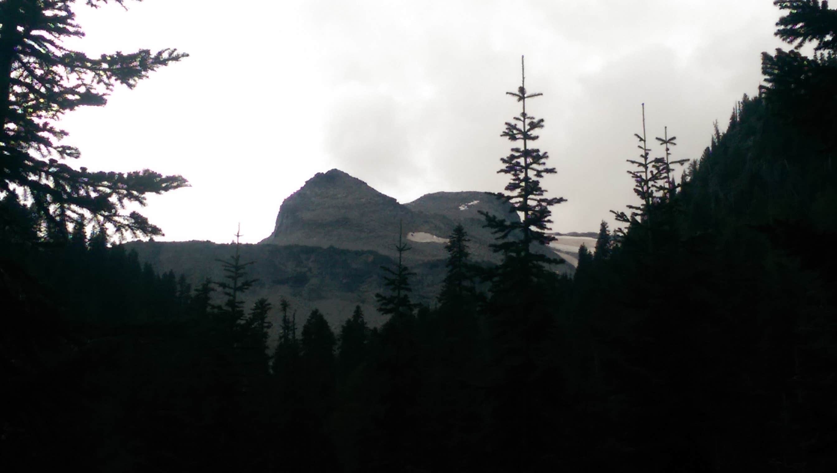 View All