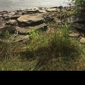 Review photo of Pymatuning State Park Campground by Shaina D., June 19, 2019