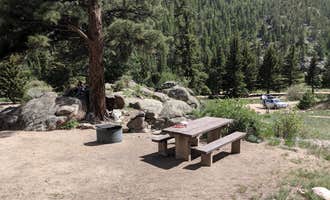 Camping near Hummingbird Homestead: Spillway Campground, Lake George, Colorado