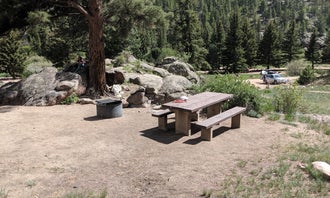 Camping near Hummingbird Homestead: Spillway Campground, Lake George, Colorado