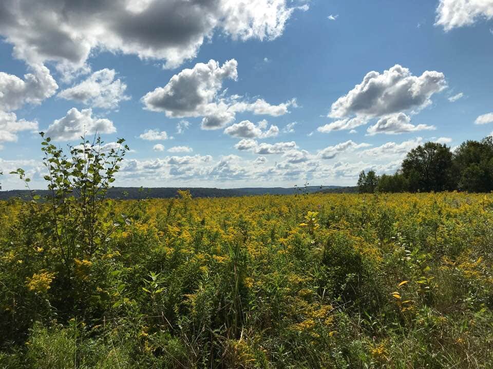 Camper-submitted photo at Round Top Retreat near Brooktondale, NY