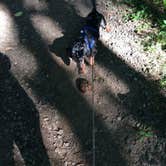 Review photo of Maple Springs Campground — Mammoth Cave National Park by Shelly S., July 30, 2016