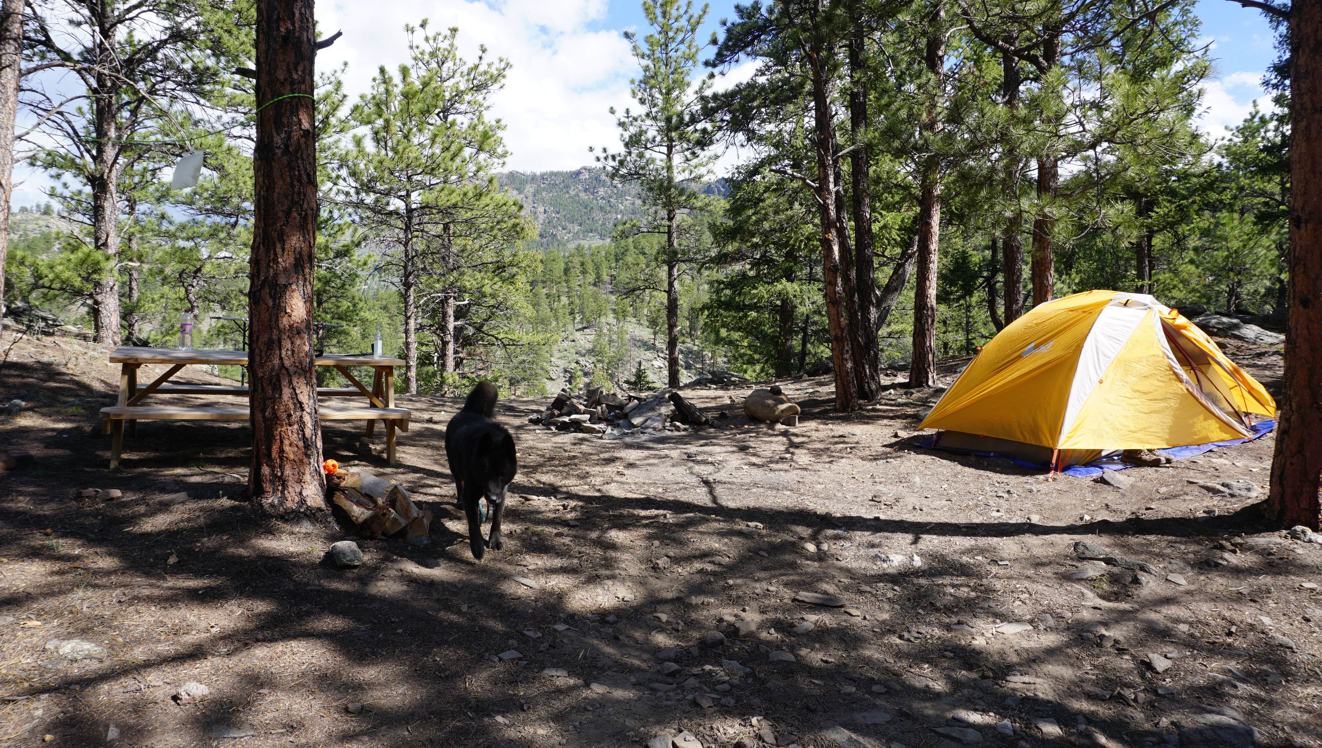 Daniel  B.'s photo of tent camping at Glen Isle Resort near Buffalo Creek, CO
