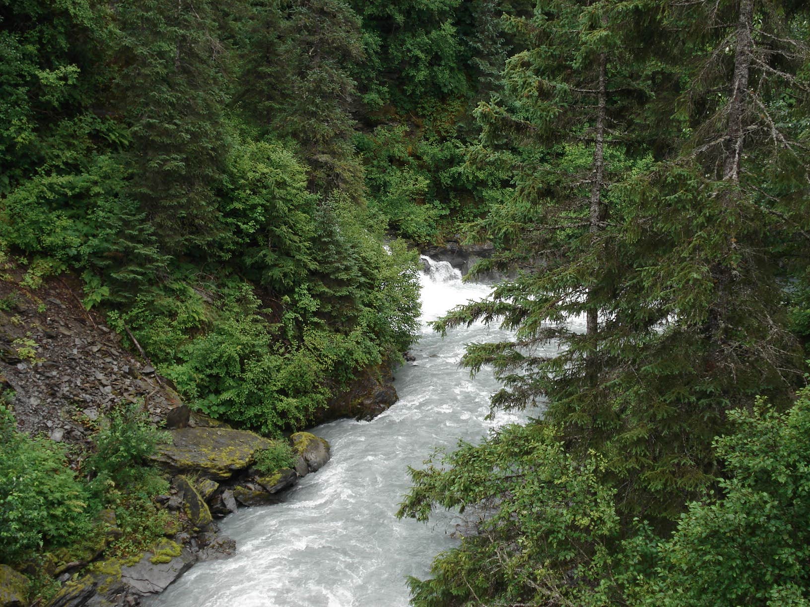 Camper submitted image from Bird Creek Campground - Chugach State Park - 5
