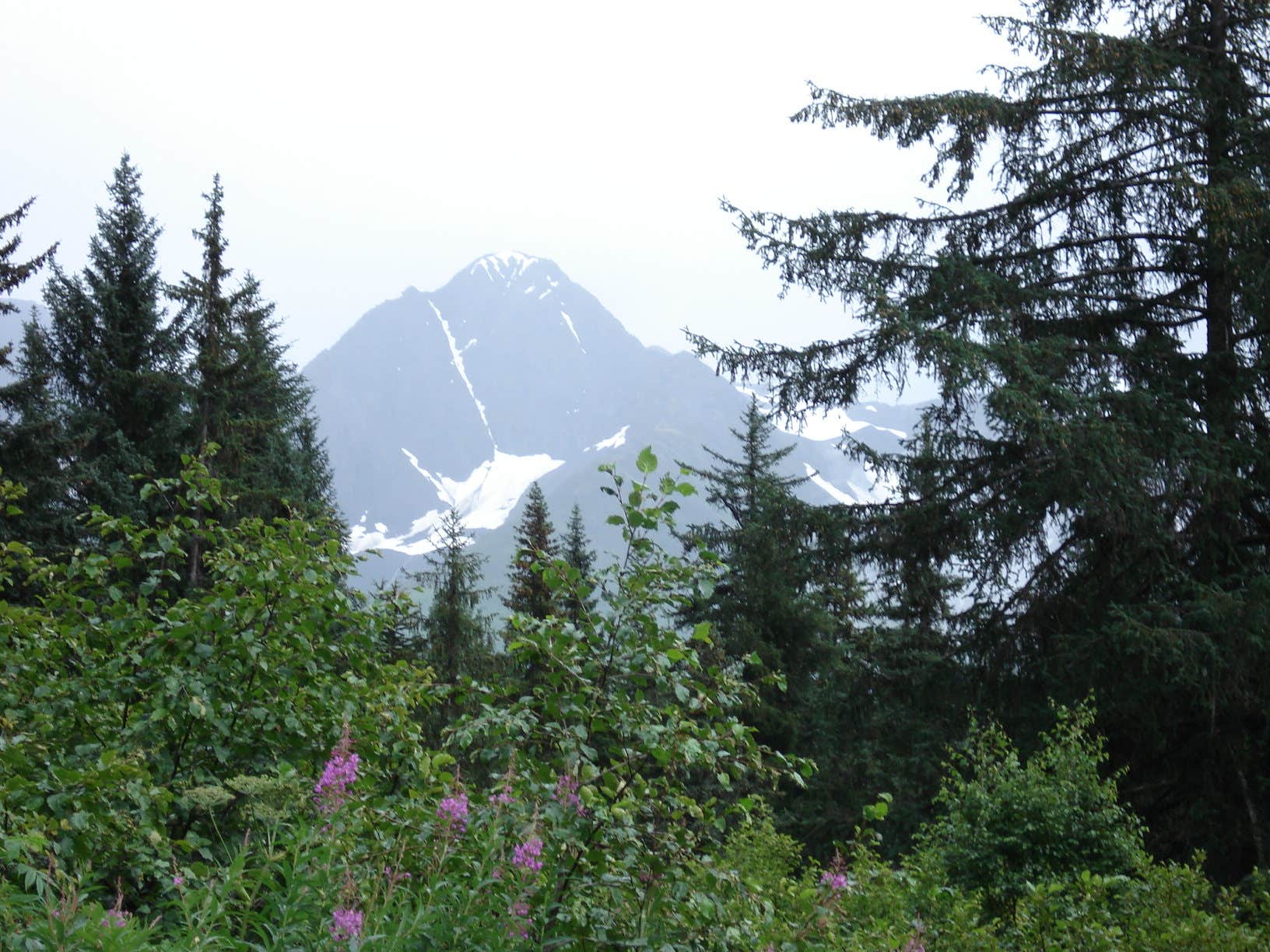 Camper submitted image from Bird Creek Campground - Chugach State Park - 2